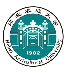 徐州河北农业大学